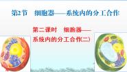 高中生物人教版 (新课标)必修1《分子与细胞》第三章 细胞的基本结构第2节 细胞器──系统内的分工合作教学演示ppt课件