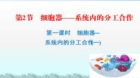 人教版 (新课标)必修1《分子与细胞》第2节 细胞器──系统内的分工合作课文ppt课件