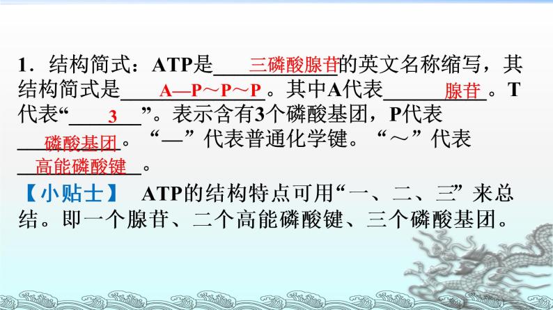 细胞的能量通货-ATPPPT课件免费下载05