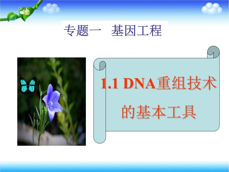 人教版高中生物选修3专题1基因工程1.1DNA重组技术的基本工具上课课件03