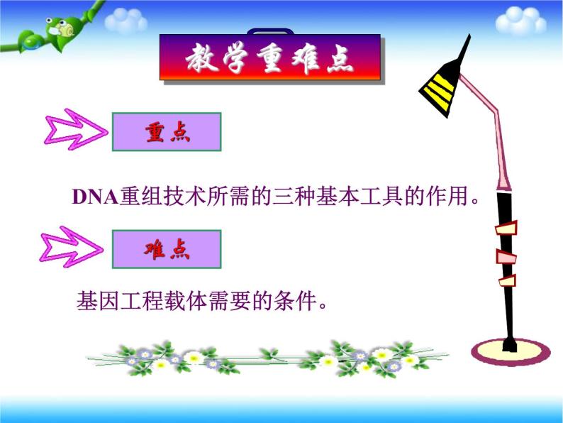 人教版高中生物选修3专题1基因工程1.1DNA重组技术的基本工具上课课件06
