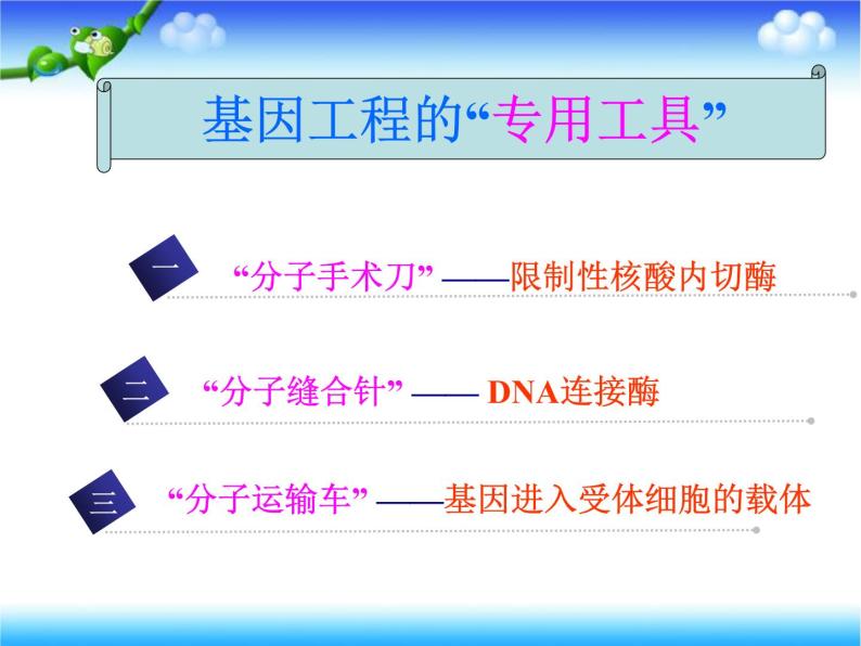 人教版高中生物选修3专题1基因工程1.1DNA重组技术的基本工具上课课件08