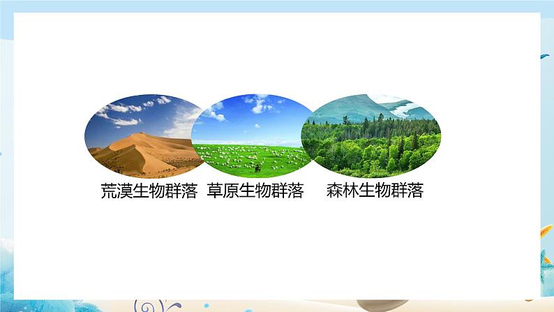 第2章第2节群落的主要类型第5页