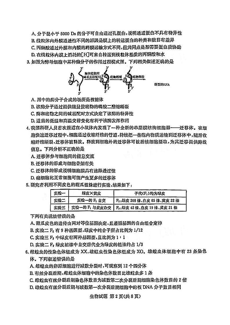 2021年炎德英才名校联考高二期末暨新高三适应行联合考试生物试题及参考答案2021.07第2页