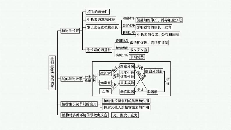 第五章章末植物生命活动的调节整合课件—【新教材】浙科版(2019)高中生物选择性必修104