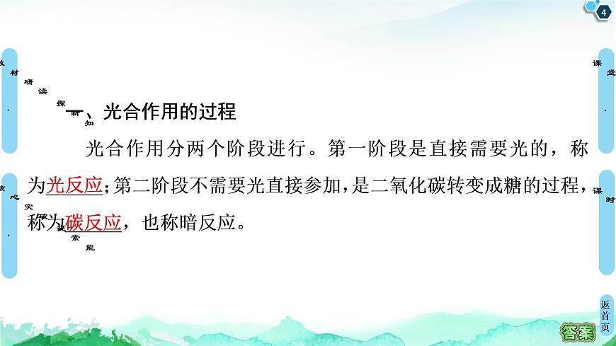 第3章　第5節(jié)　第2課時　光合作用的過程與影響光合作用的環(huán)境因素 課件 【新教材】浙科版（2019）高中生物必修一第4頁
