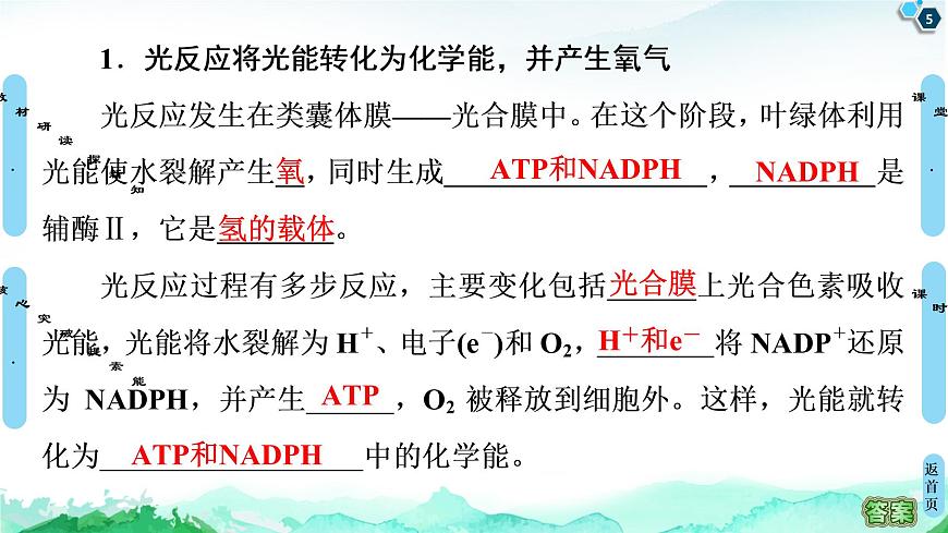 第3章　第5節(jié)　第2課時　光合作用的過程與影響光合作用的環(huán)境因素 課件 【新教材】浙科版（2019）高中生物必修一第5頁