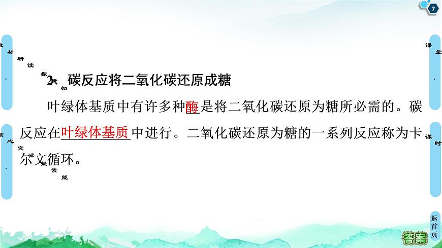 第3章　第5節(jié)　第2課時　光合作用的過程與影響光合作用的環(huán)境因素 課件 【新教材】浙科版（2019）高中生物必修一第7頁