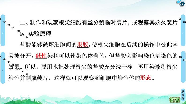 第4章 第1节 细胞通过分裂增殖 课件 【新教材】浙科版(2019)高中生物必修一06