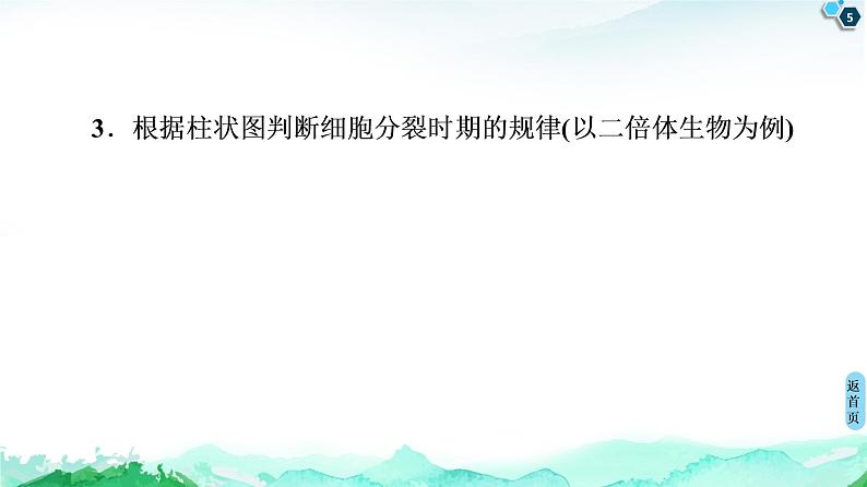 第4章 素能提升课 与有丝分裂有关的图像分析与应用 课件【新教材】浙科版(2019)高中生物必修一第5页