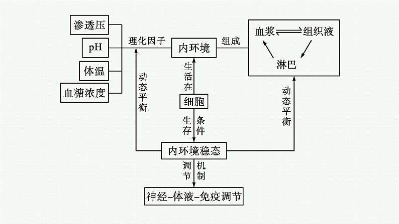 第一章章末内环境与稳态整合课件—2021-2022学年【新教材】浙科版(2019)高中生物选择性必修1第4页