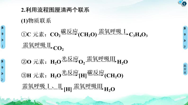 第3章　素能提升课 光合作用与呼吸作用的综合应用 课件 【新教材】浙科版（2019）高中生物必修一05