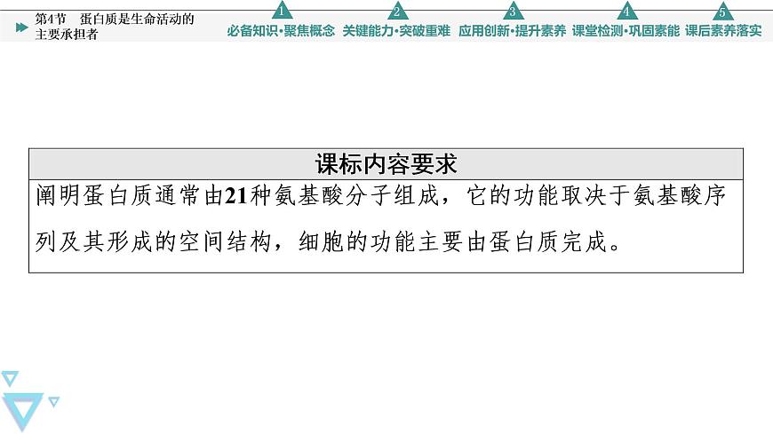 第2章 第4節(jié) 蛋白質(zhì)是生命活動(dòng)的主要承擔(dān)者 課件【新教材】人教版(2019)高一生物必修一第2頁