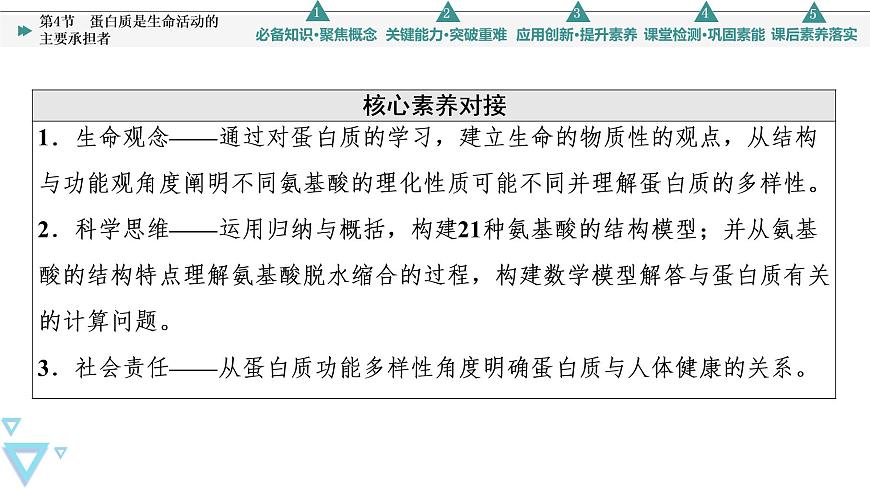 第2章 第4節(jié) 蛋白質(zhì)是生命活動(dòng)的主要承擔(dān)者 課件【新教材】人教版(2019)高一生物必修一第3頁