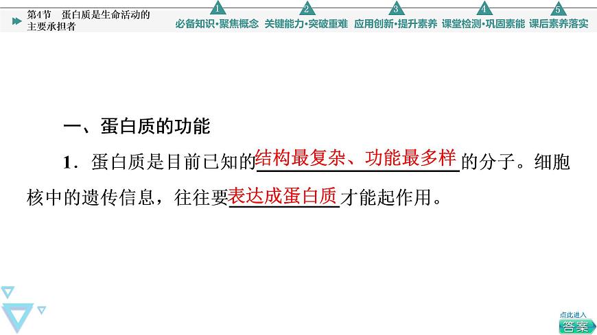 第2章 第4節(jié) 蛋白質(zhì)是生命活動(dòng)的主要承擔(dān)者 課件【新教材】人教版(2019)高一生物必修一第5頁