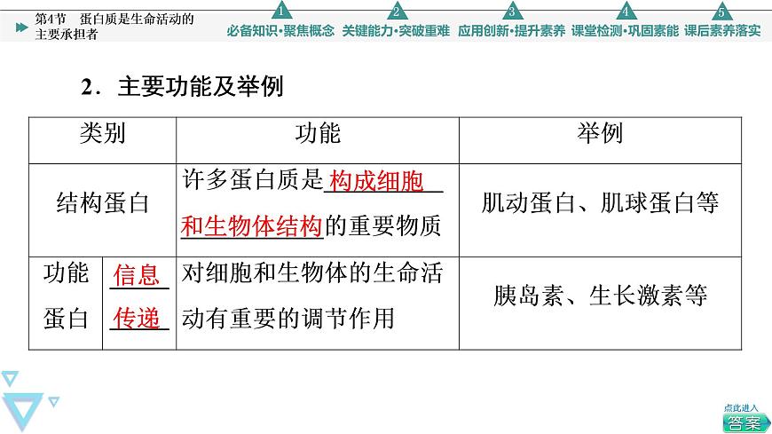 第2章 第4節(jié) 蛋白質(zhì)是生命活動(dòng)的主要承擔(dān)者 課件【新教材】人教版(2019)高一生物必修一第6頁
