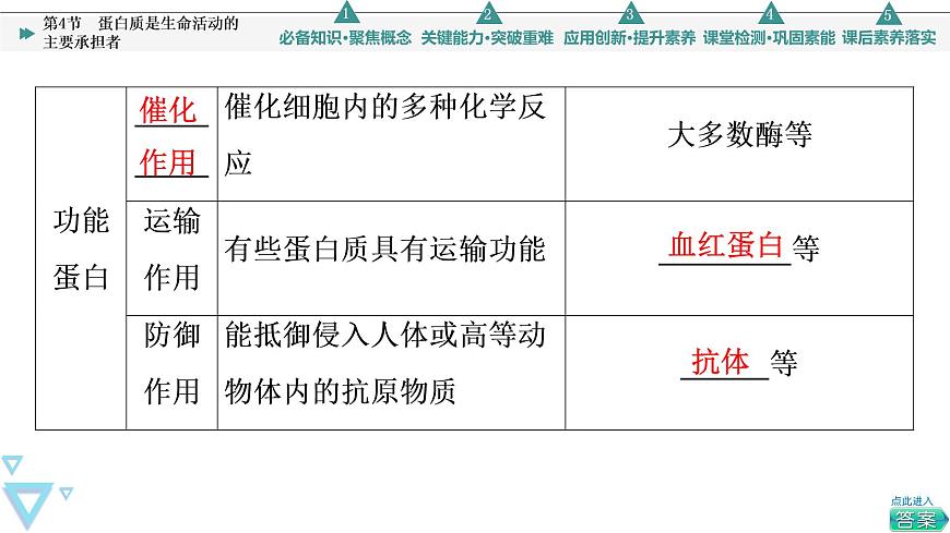 第2章 第4節(jié) 蛋白質(zhì)是生命活動(dòng)的主要承擔(dān)者 課件【新教材】人教版(2019)高一生物必修一第7頁