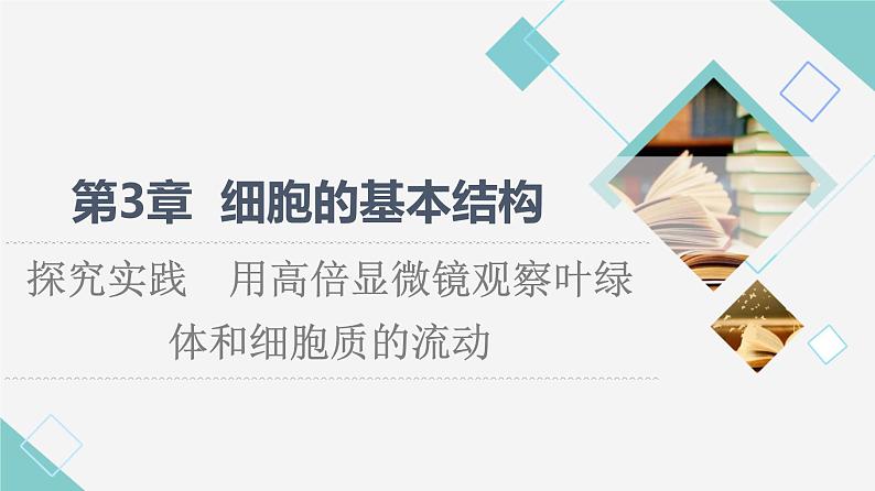 第3章 探究实践 用高倍显微镜观察叶绿体和细胞质的流动 课件【新教材】人教版(2019)高一生物必修一01