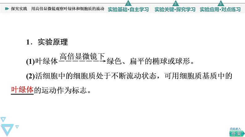 第3章 探究实践 用高倍显微镜观察叶绿体和细胞质的流动 课件【新教材】人教版(2019)高一生物必修一03