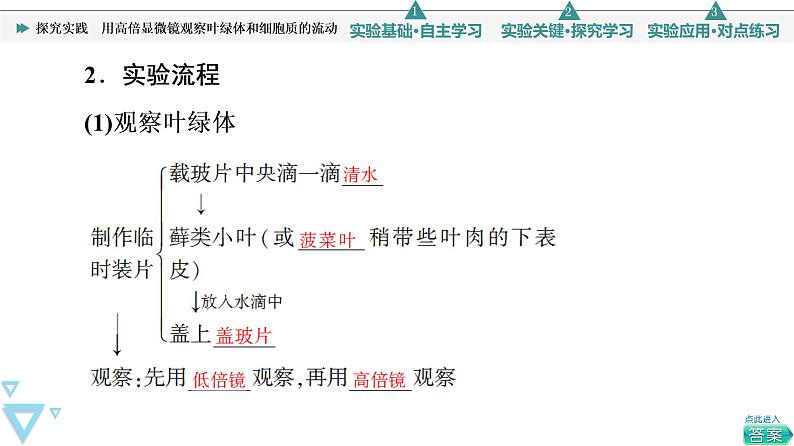 第3章 探究实践 用高倍显微镜观察叶绿体和细胞质的流动 课件【新教材】人教版(2019)高一生物必修一04