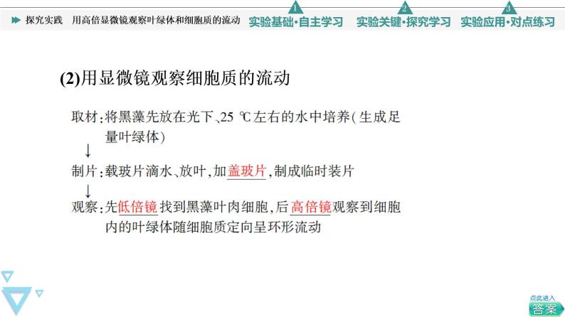 第3章 探究实践　用高倍显微镜观察叶绿体和细胞质的流动 课件【新教材】人教版（2019）高一生物必修一05