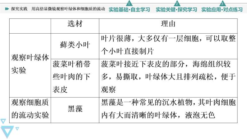 第3章 探究实践　用高倍显微镜观察叶绿体和细胞质的流动 课件【新教材】人教版（2019）高一生物必修一07