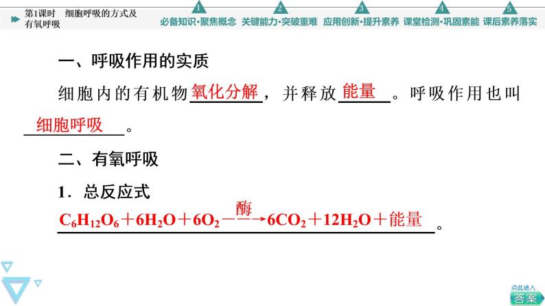 第5章 第3节 第1课时　细胞呼吸的方式及有氧呼吸 课件【新教材】人教版（2019）高一生物必修一04