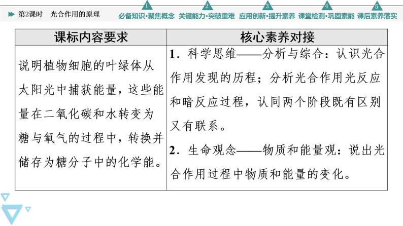 第5章 第4节 第2课时　光合作用的原理 课件【新教材】人教版（2019）高一生物必修一02