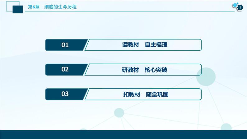 第6章第3节 细胞的衰老和死亡--(新教材)2021年人教版(2019)高中生物必修1课件02