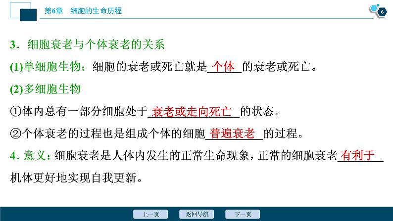 第6章第3节 细胞的衰老和死亡--(新教材)2021年人教版(2019)高中生物必修1课件07