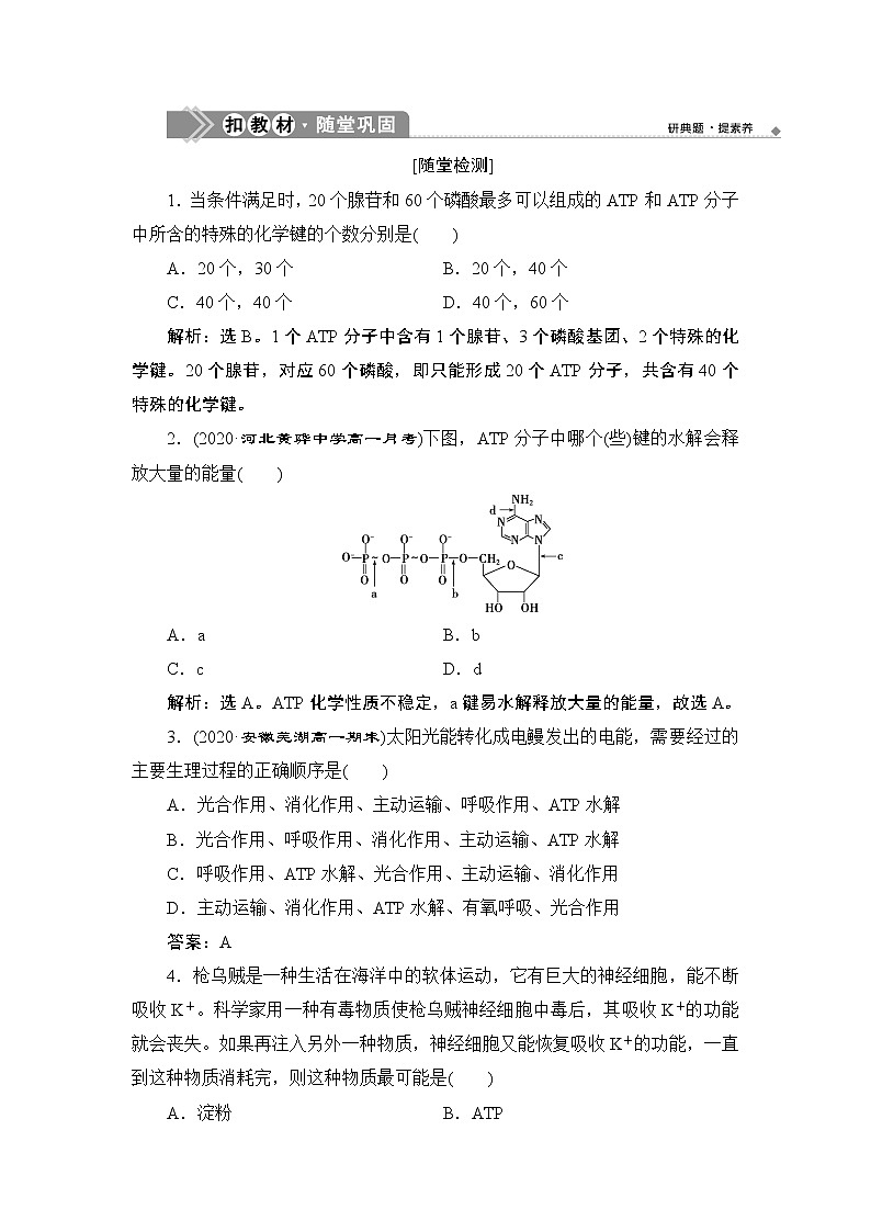 第5章第2节 细胞的能量“货币”ATP--(新教材)2021年人教版(2019)高中生物必修1同步练习第1页
