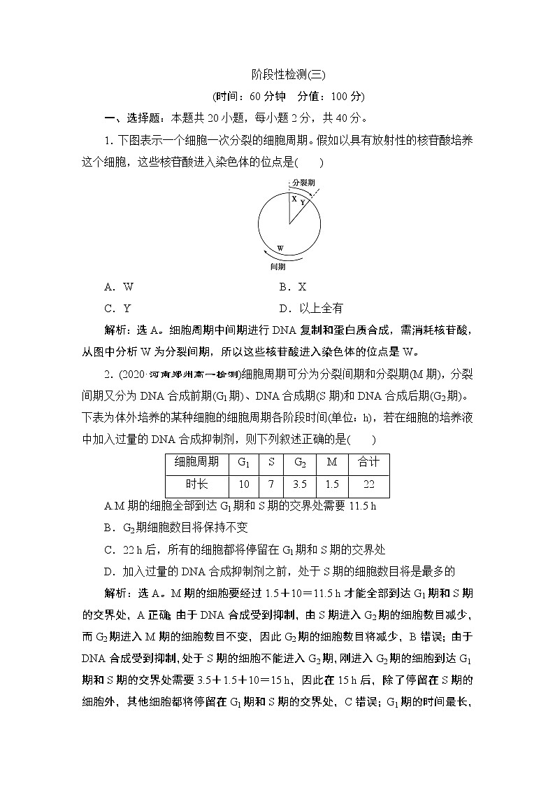 第6章阶段性检测(三)--(新教材)2021年人教版(2019)高中生物必修1同步练习01