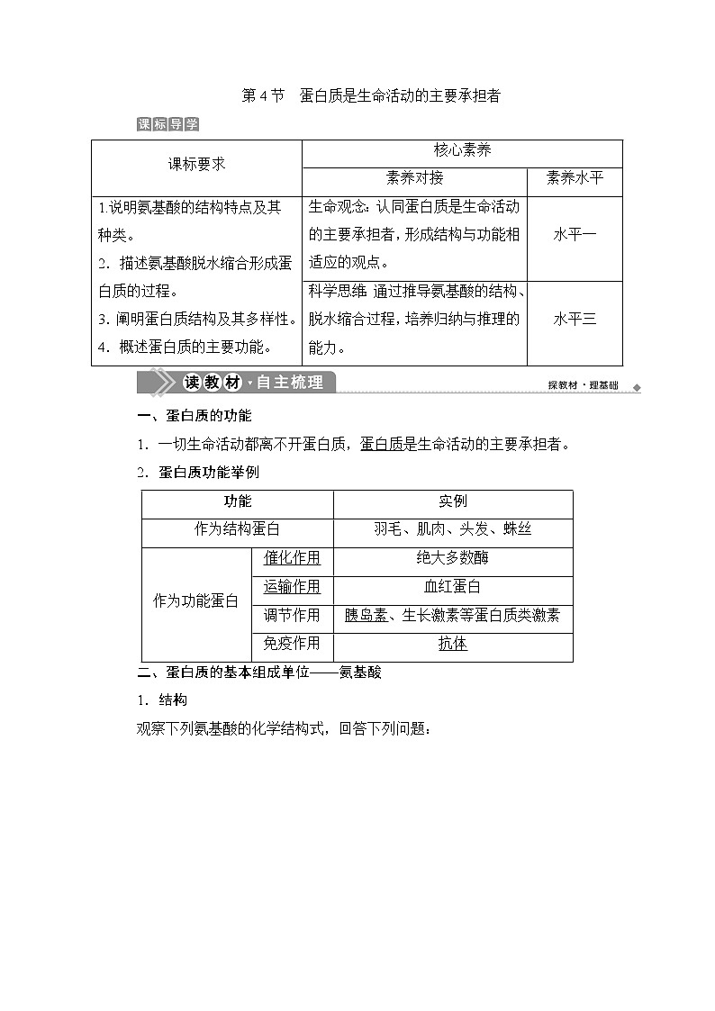 第2章第4節(jié)　蛋白質(zhì)是生命活動(dòng)的主要承擔(dān)者--（新教材）2021年人教版（2019）高中生物必修1同步學(xué)案第1頁