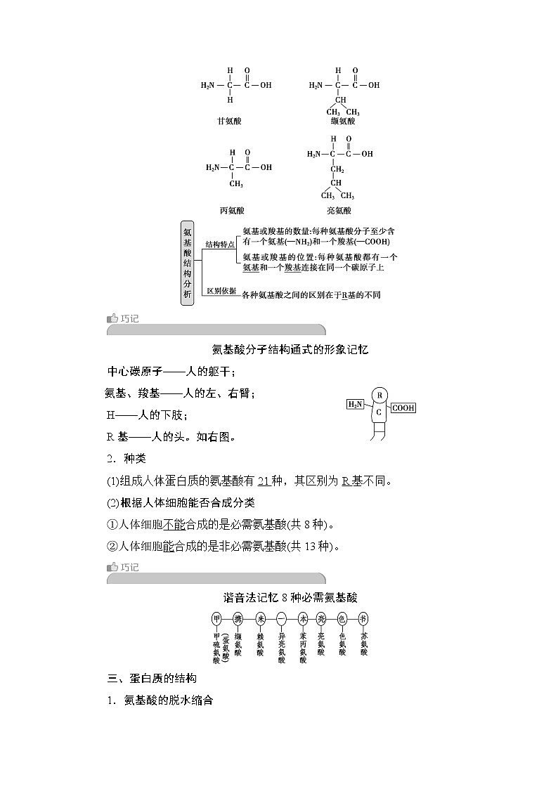 第2章第4節(jié)　蛋白質(zhì)是生命活動(dòng)的主要承擔(dān)者--（新教材）2021年人教版（2019）高中生物必修1同步學(xué)案第2頁