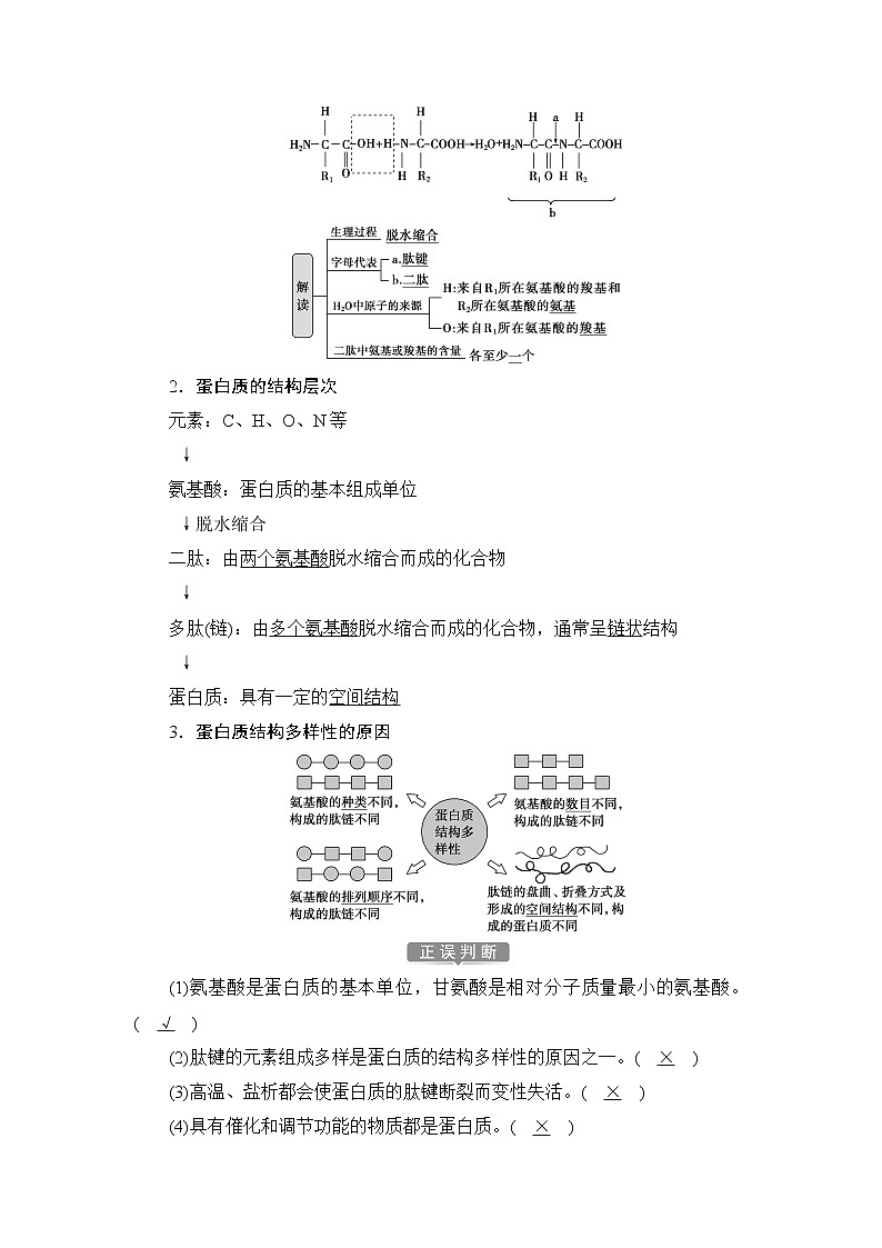 第2章第4節(jié)　蛋白質(zhì)是生命活動(dòng)的主要承擔(dān)者--（新教材）2021年人教版（2019）高中生物必修1同步學(xué)案第3頁