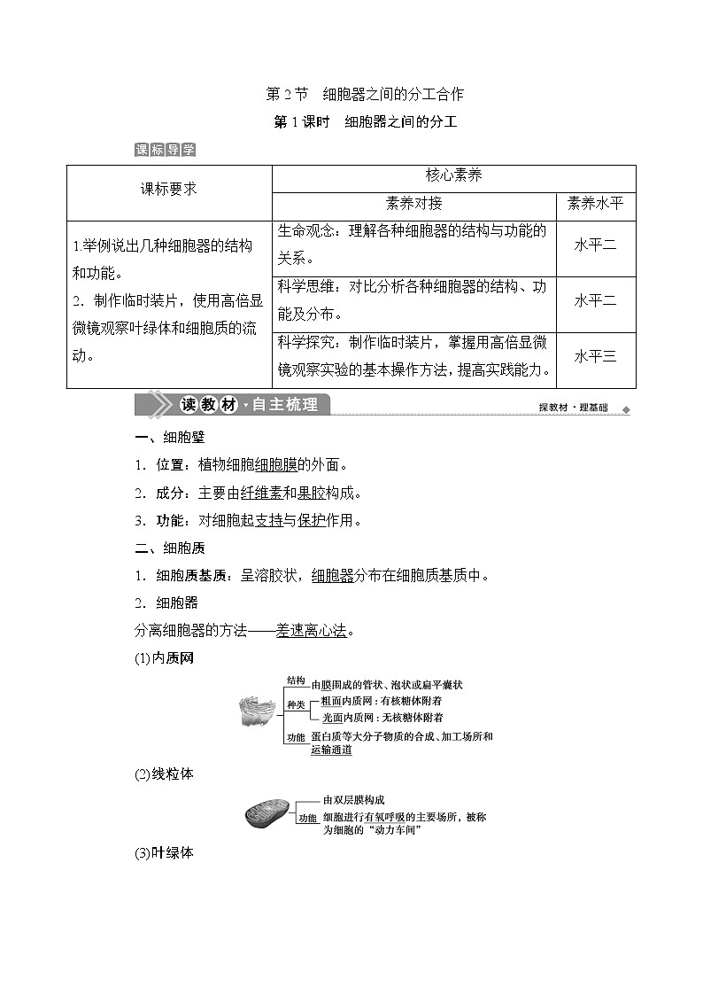 第3章第2節(jié)　第1課時　細胞器之間的分工--（新教材）2021年人教版（2019）高中生物必修1同步學案第1頁
