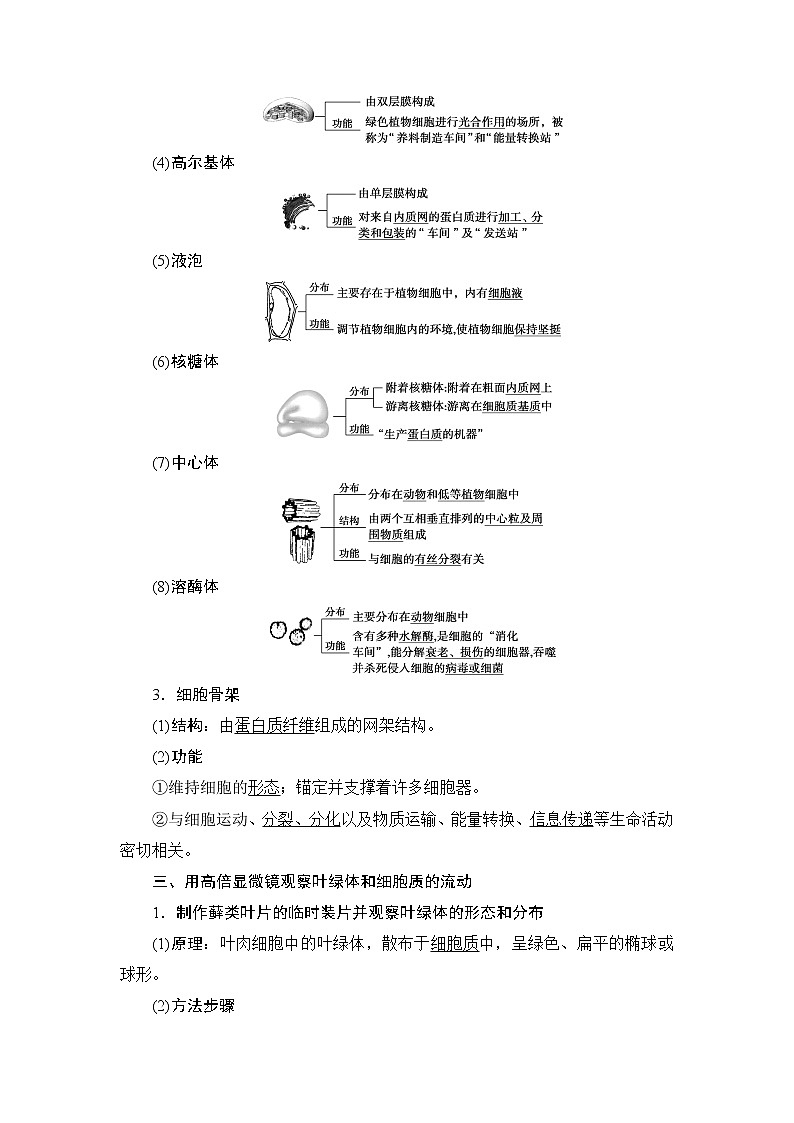 第3章第2節(jié)　第1課時　細胞器之間的分工--（新教材）2021年人教版（2019）高中生物必修1同步學案第2頁