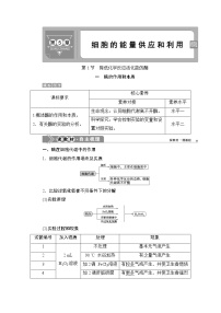 人教版 (2019)必修1《分子与细胞》一 酶的作用和本质学案及答案