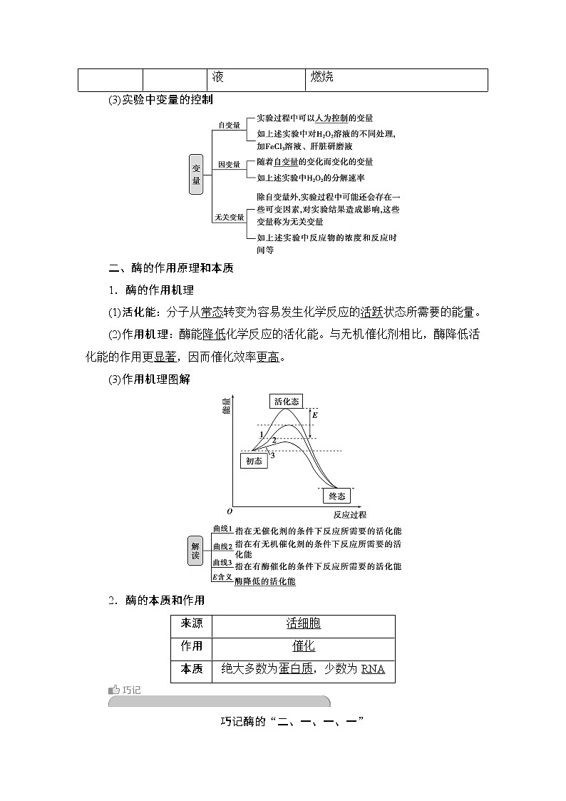 第5章第1节 一 酶的作用和本质--(新教材)2021年人教版(2019)高中生物必修1同步学案02