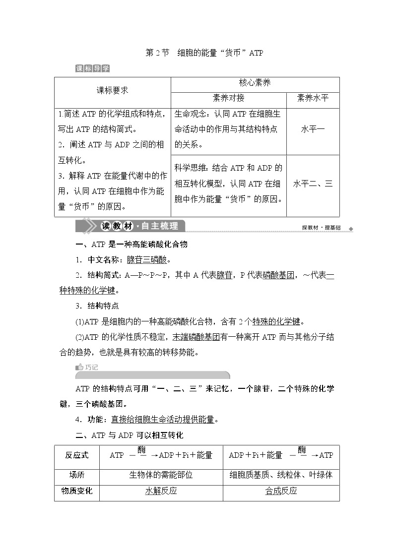 第5章第2节　细胞的能量“货币”ATP--（新教材）2021年人教版（2019）高中生物必修1同步学案01