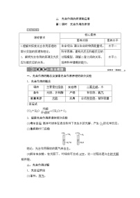 人教版 (2019)必修1《分子与细胞》二 光合作用的原理和应用第1课时学案