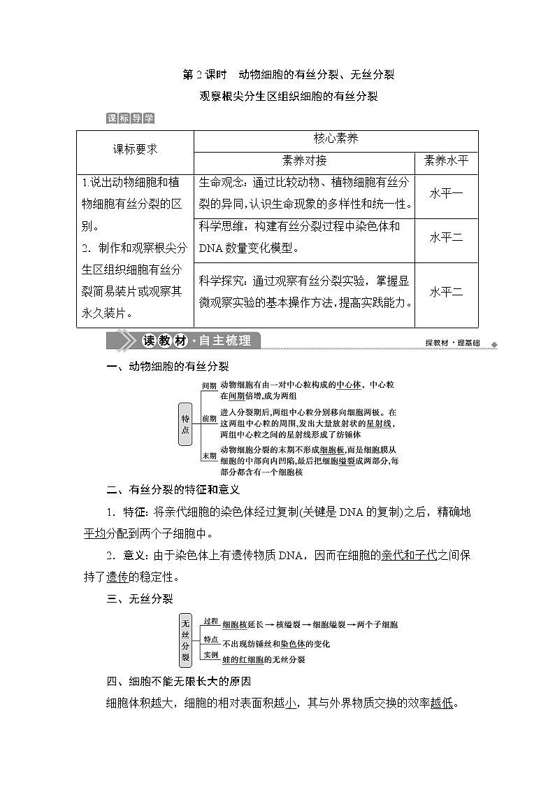 第6章第1节 第2课时 动物细胞的有丝分裂、无丝分裂 观察根尖分生区组织细胞的有丝分裂--(新教材)2021年人教版(2019)高中生物必修1同步学案第1页