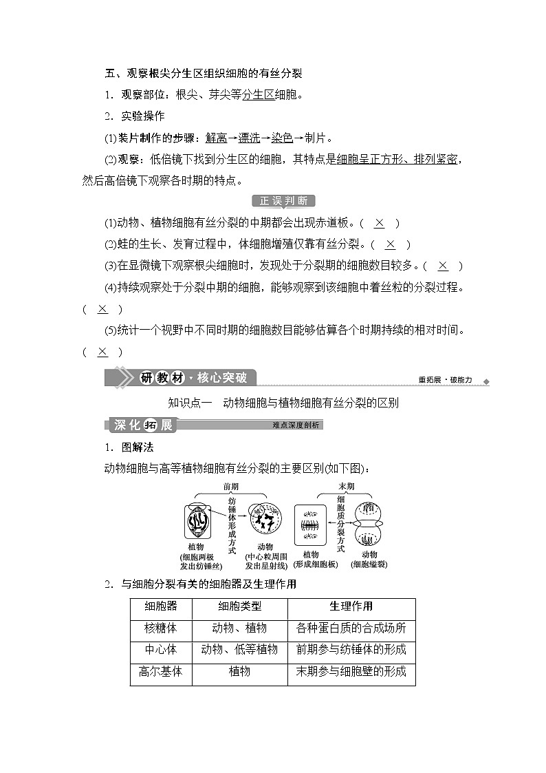 第6章第1节 第2课时 动物细胞的有丝分裂、无丝分裂 观察根尖分生区组织细胞的有丝分裂--(新教材)2021年人教版(2019)高中生物必修1同步学案第2页