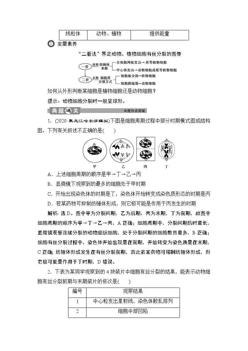 第6章第1节 第2课时 动物细胞的有丝分裂、无丝分裂 观察根尖分生区组织细胞的有丝分裂--(新教材)2021年人教版(2019)高中生物必修1同步学案第3页