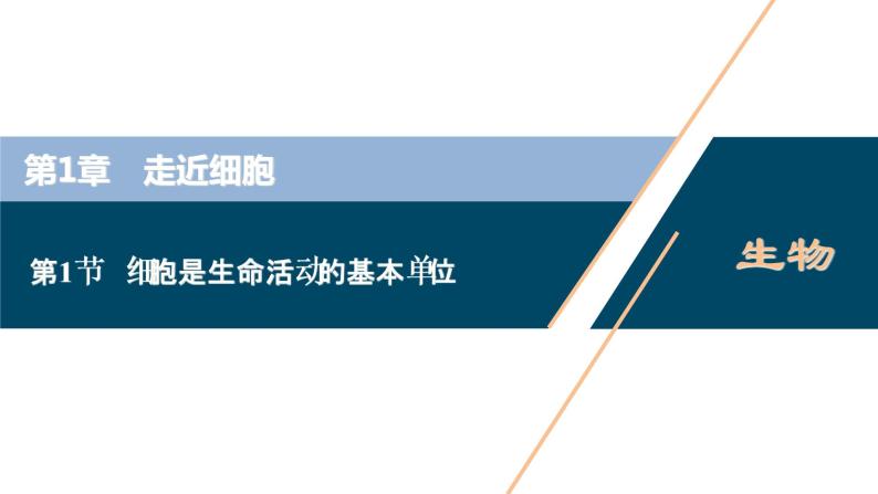 第1章第1节　细胞是生命活动的基本单位--（新教材）2021年人教版（2019）高中生物必修1课件01