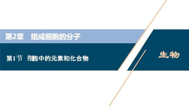 第2章第1节　细胞中的元素和化合物--（新教材）2021年人教版（2019）高中生物必修1课件01