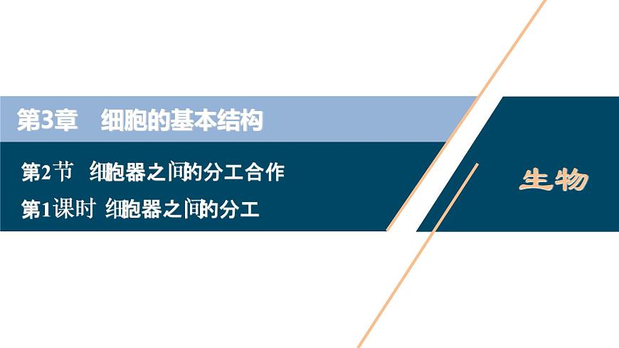 第3章第2節(jié)　第1課時　細胞器之間的分工--（新教材）2021年人教版（2019）高中生物必修1課件第1頁
