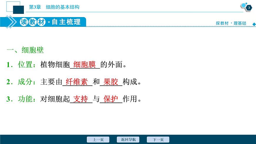 第3章第2節(jié)　第1課時　細胞器之間的分工--（新教材）2021年人教版（2019）高中生物必修1課件第4頁