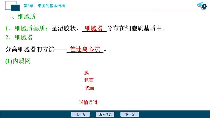 第3章第2節(jié)　第1課時　細胞器之間的分工--（新教材）2021年人教版（2019）高中生物必修1課件第5頁