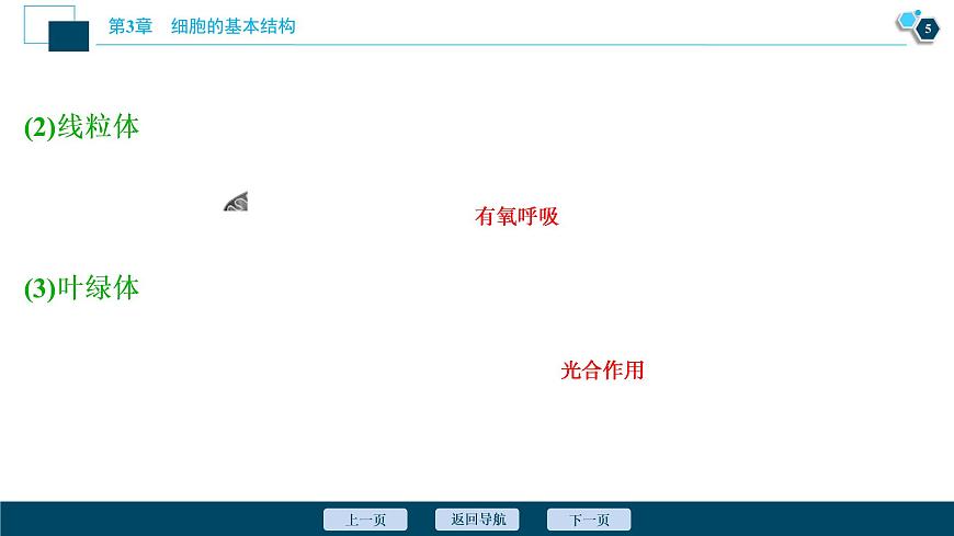 第3章第2節(jié)　第1課時　細胞器之間的分工--（新教材）2021年人教版（2019）高中生物必修1課件第6頁